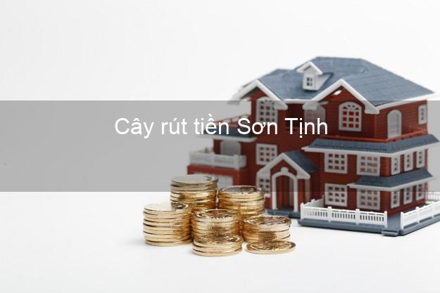 Cây rút tiền Sơn Tịnh Quảng Ngãi Cây rút tiền Sơn Tịnh Quảng Ngãi