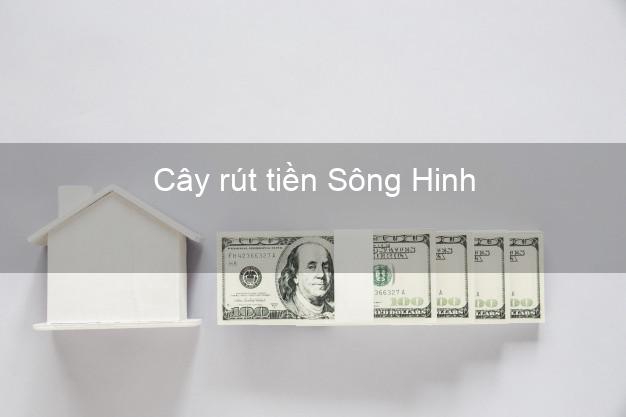 Cây rút tiền Sông Hinh Phú Yên Cây rút tiền Sông Hinh Phú Yên