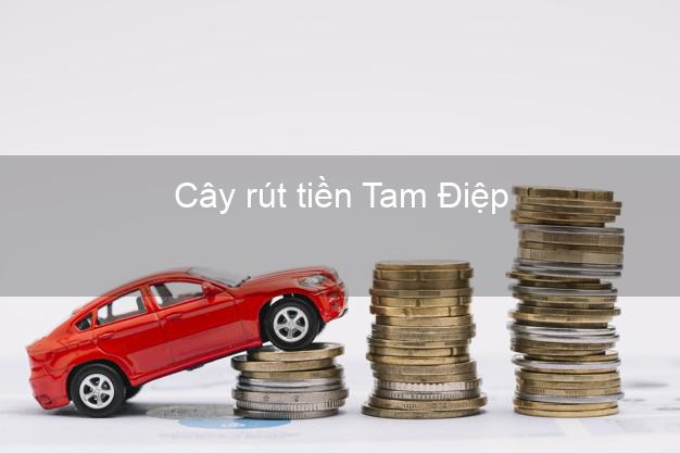 Cây rút tiền Tam Điệp Ninh Bình Cây rút tiền Tam Điệp Ninh Bình