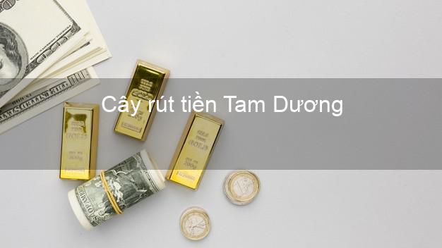 Cây rút tiền Tam Dương Vĩnh Phúc Cây rút tiền Tam Dương Vĩnh Phúc