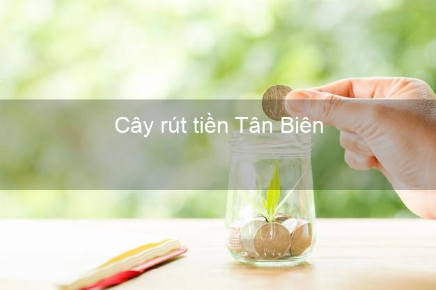 Cây rút tiền Tân Biên Tây Ninh Cây rút tiền Tân Biên Tây Ninh