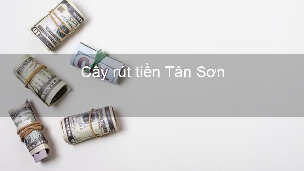 Cây rút tiền Tân Sơn Phú Thọ Cây rút tiền Tân Sơn Phú Thọ