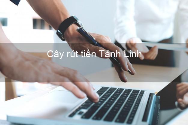 Cây rút tiền Tánh Linh Bình Thuận Cây rút tiền Tánh Linh Bình Thuận