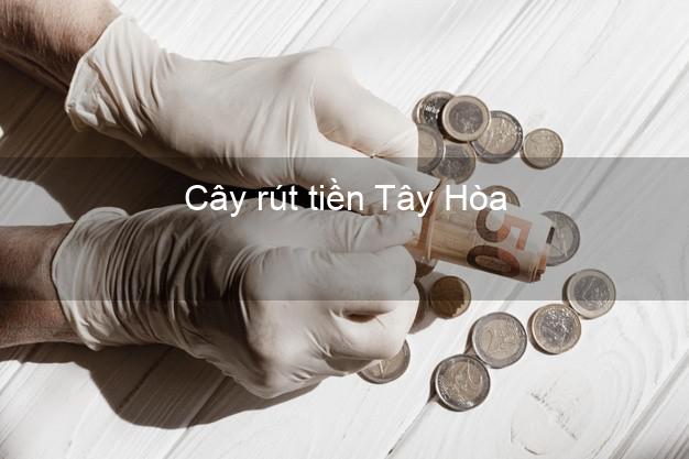 Cây rút tiền Tây Hòa Phú Yên Cây rút tiền Tây Hòa Phú Yên