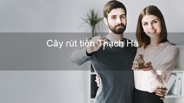 Cây rút tiền Thạch Hà Hà Tĩnh