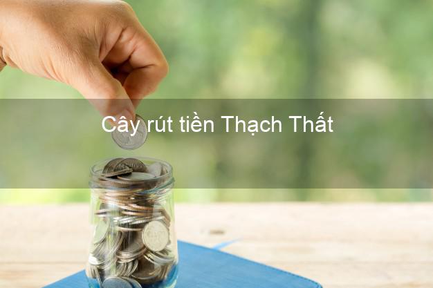 Cây rút tiền Thạch Thất Hà Nội Cây rút tiền Thạch Thất Hà Nội