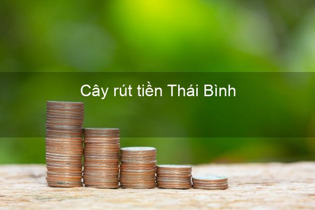 Cây rút tiền Thái Bình Cây rút tiền Thái Bình