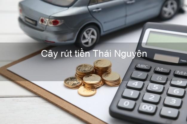 Cây rút tiền Thái Nguyên Cây rút tiền Thái Nguyên