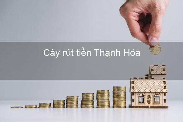 Cây rút tiền Thạnh Hóa Long An Cây rút tiền Thạnh Hóa Long An