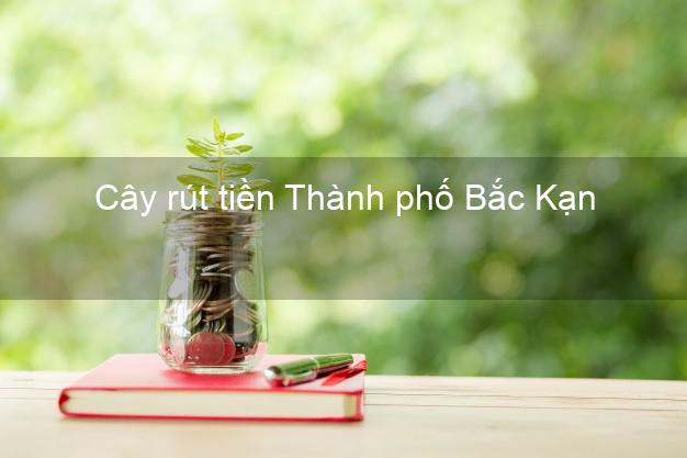 Cây rút tiền Thành phố Bắc Kạn Cây rút tiền Thành phố Bắc Kạn
