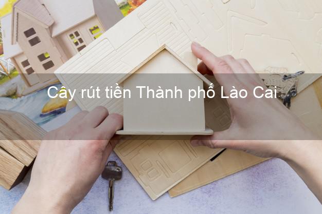 Cây rút tiền Thành phố Lào Cai