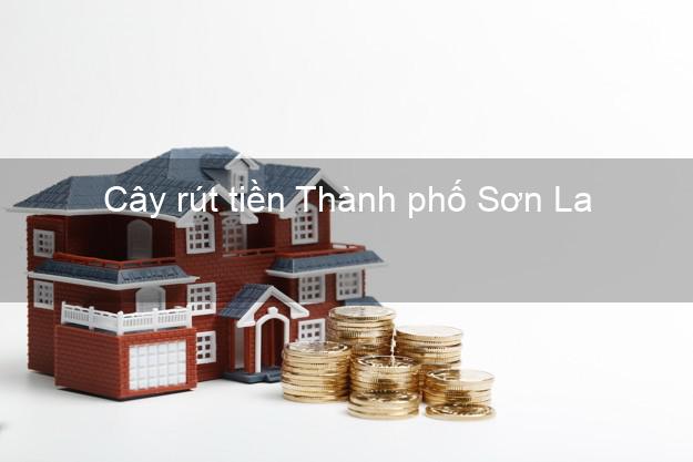 Cây rút tiền Thành phố Sơn La Cây rút tiền Thành phố Sơn La
