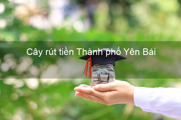 Cây rút tiền Thành phố Yên Bái Cây rút tiền Thành phố Yên Bái