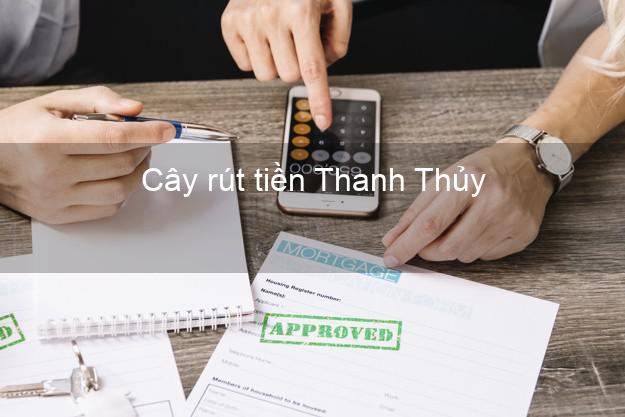 Cây rút tiền Thanh Thủy Phú Thọ Cây rút tiền Thanh Thủy Phú Thọ