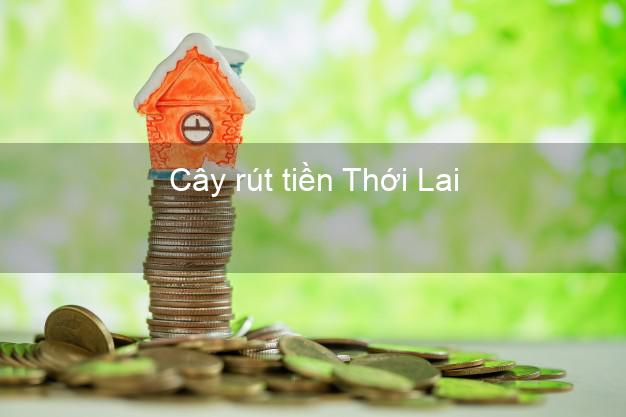 Cây rút tiền Thới Lai Cần Thơ Cây rút tiền Thới Lai Cần Thơ