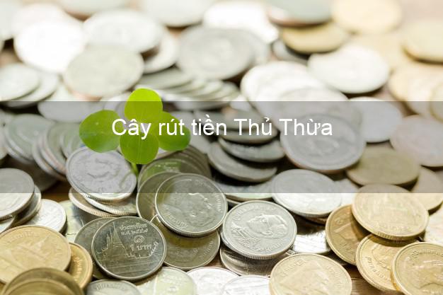 Cây rút tiền Thủ Thừa Long An Cây rút tiền Thủ Thừa Long An