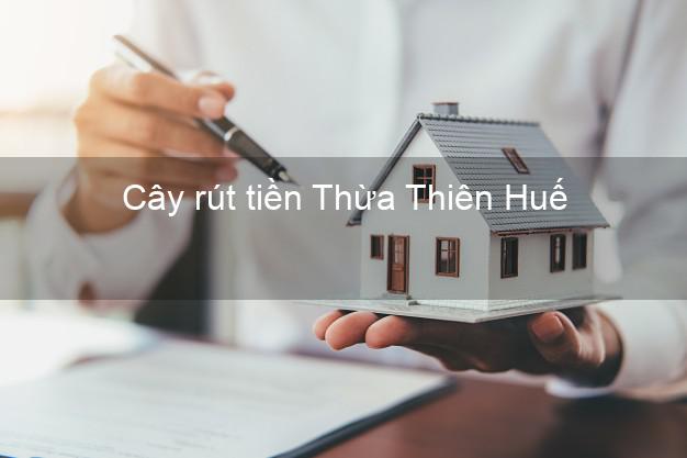 Cây rút tiền Thừa Thiên Huế Cây rút tiền Thừa Thiên Huế