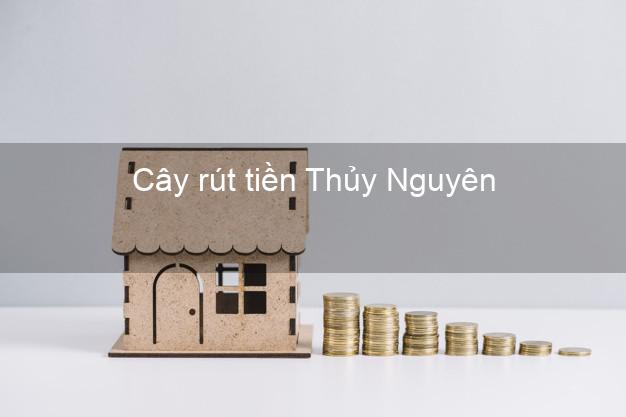 Cây rút tiền Thủy Nguyên Hải Phòng
