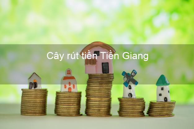 Cây rút tiền Tiền Giang Cây rút tiền Tiền Giang