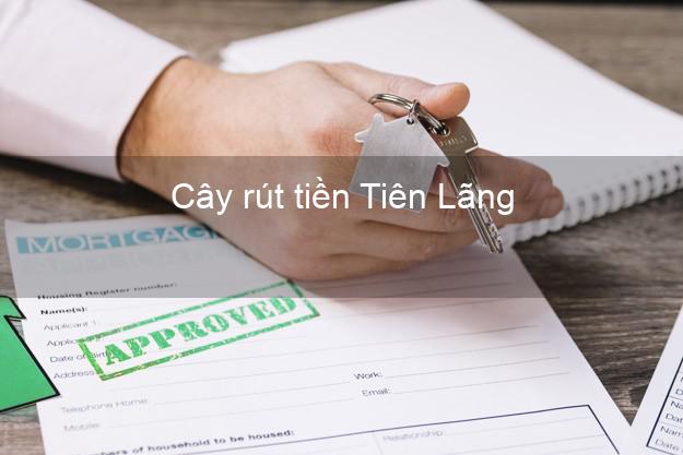 Cây rút tiền Tiên Lãng Hải Phòng Cây rút tiền Tiên Lãng Hải Phòng