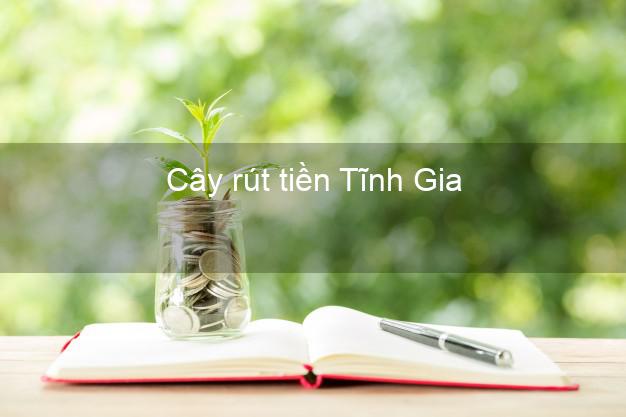 Cây rút tiền Tĩnh Gia Thanh Hóa