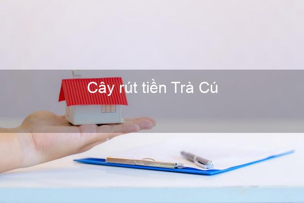 Cây rút tiền Trà Cú Trà Vinh Cây rút tiền Trà Cú Trà Vinh