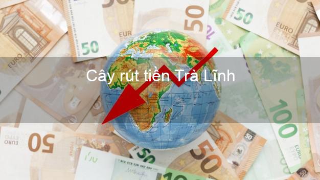 Cây rút tiền Trà Lĩnh Cao Bằng Cây rút tiền Trà Lĩnh Cao Bằng