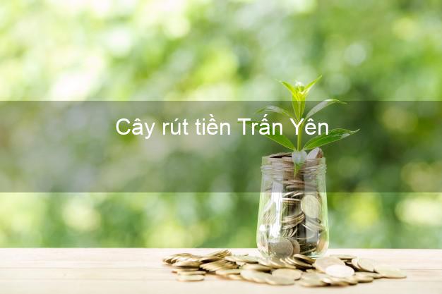Cây rút tiền Trấn Yên Yên Bái Cây rút tiền Trấn Yên Yên Bái