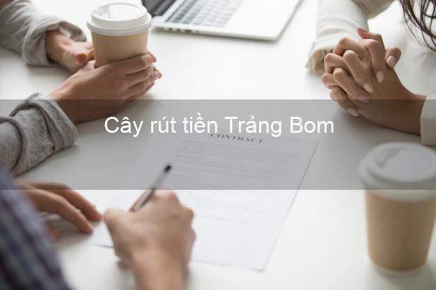 Cây rút tiền Trảng Bom Đồng Nai Cây rút tiền Trảng Bom Đồng Nai