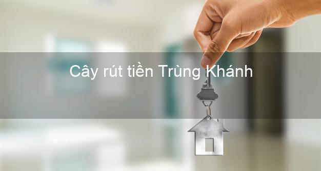 Cây rút tiền Trùng Khánh Cao Bằng Cây rút tiền Trùng Khánh Cao Bằng