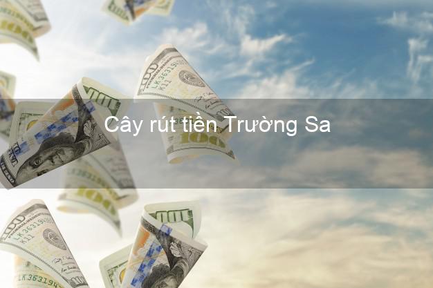 Cây rút tiền Trường Sa Khánh Hòa Cây rút tiền Trường Sa Khánh Hòa