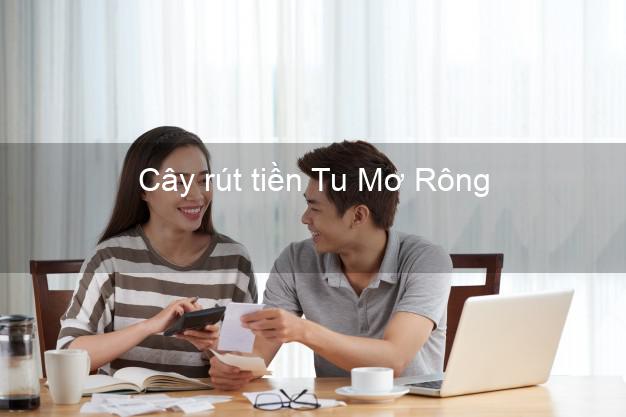 Cây rút tiền Tu Mơ Rông Kon Tum Cây rút tiền Tu Mơ Rông Kon Tum