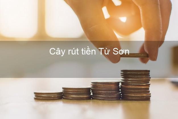 Cây rút tiền Từ Sơn Bắc Ninh Cây rút tiền Từ Sơn Bắc Ninh
