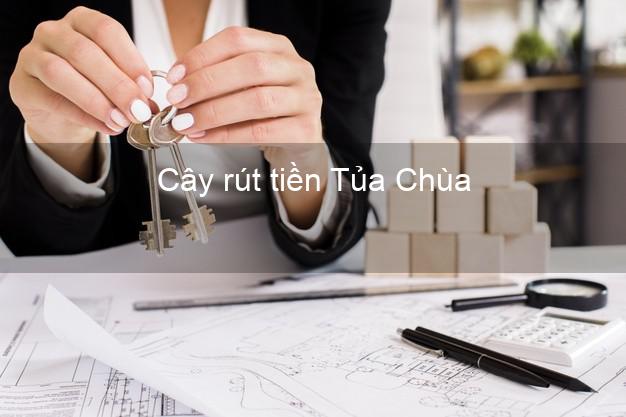 Cây rút tiền Tủa Chùa Điện Biên