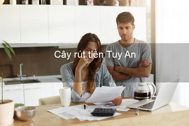 Cây rút tiền Tuy An Phú Yên Cây rút tiền Tuy An Phú Yên