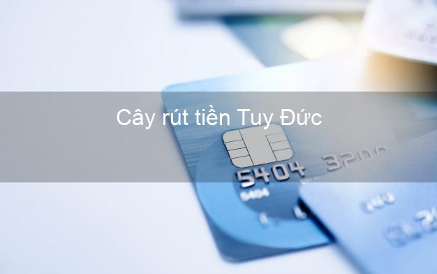 Cây rút tiền Tuy Đức Đắk Nông Cây rút tiền Tuy Đức Đắk Nông