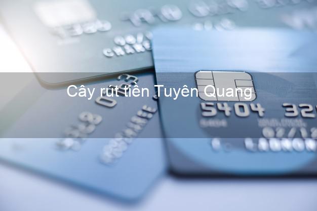 Cây rút tiền Tuyên Quang Cây rút tiền Tuyên Quang