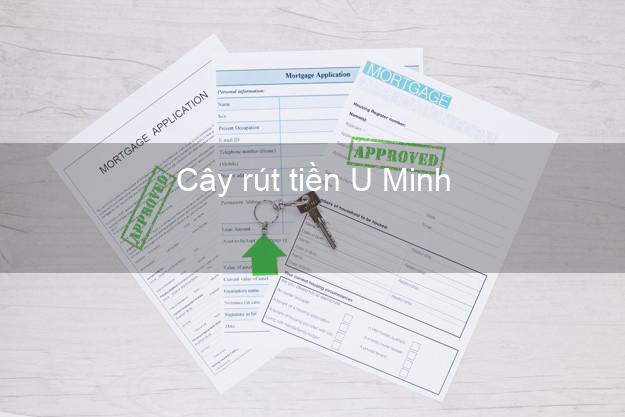 Cây rút tiền U Minh Cà Mau Cây rút tiền U Minh Cà Mau