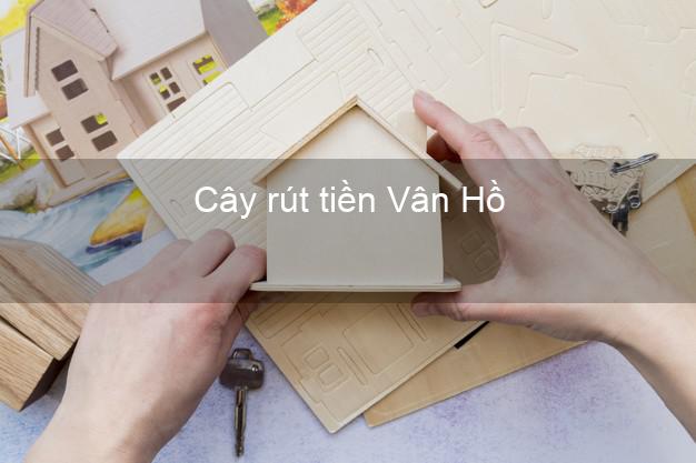 Cây rút tiền Vân Hồ Sơn La