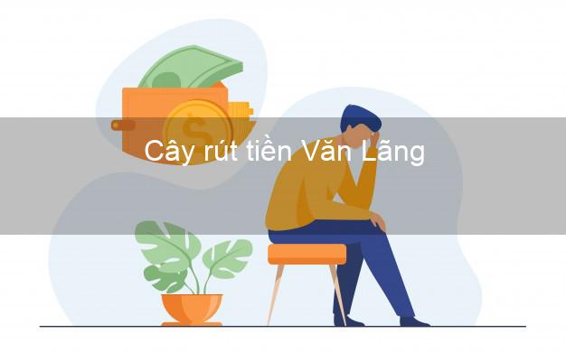 Cây rút tiền Văn Lãng Lạng Sơn Cây rút tiền Văn Lãng Lạng Sơn
