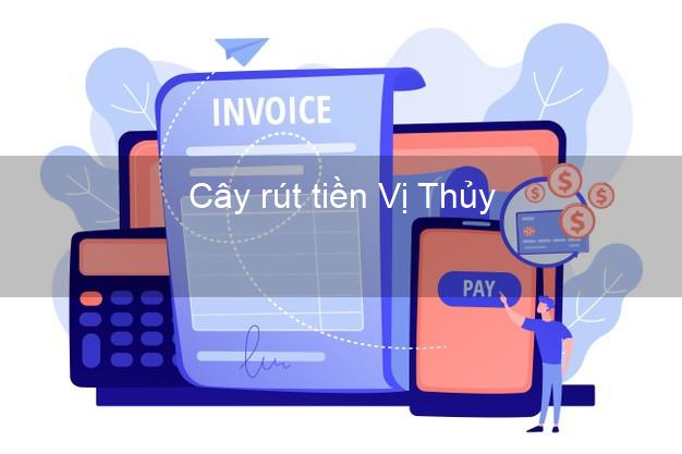 Cây rút tiền Vị Thủy Hậu Giang Cây rút tiền Vị Thủy Hậu Giang