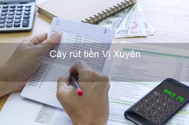 Cây rút tiền Vị Xuyên Hà Giang Cây rút tiền Vị Xuyên Hà Giang
