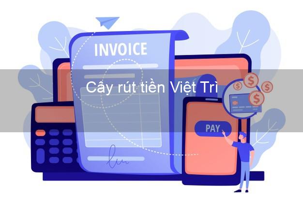 Cây rút tiền Việt Trì Phú Thọ Cây rút tiền Việt Trì Phú Thọ