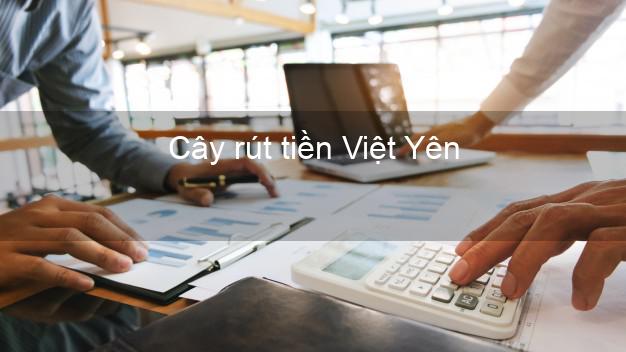 Cây rút tiền Việt Yên Bắc Giang Cây rút tiền Việt Yên Bắc Giang