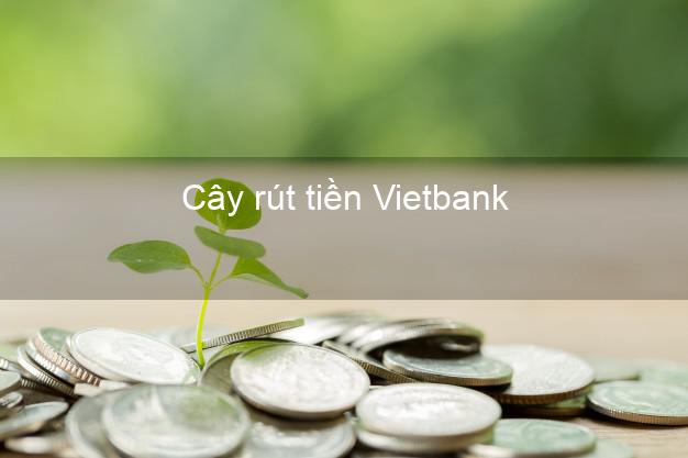 Cây rút tiền Vietbank Mới nhất Cây rút tiền Vietbank Mới nhất