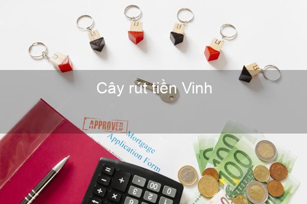 Cây rút tiền Vinh Nghệ An Cây rút tiền Vinh Nghệ An