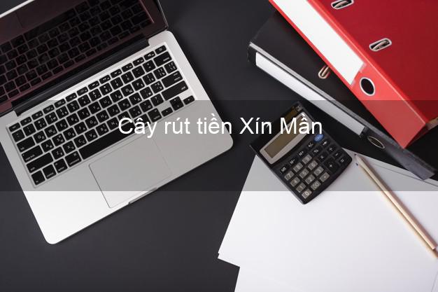 Cây rút tiền Xín Mần Hà Giang