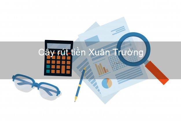 Cây rút tiền Xuân Trường Nam Định Cây rút tiền Xuân Trường Nam Định
