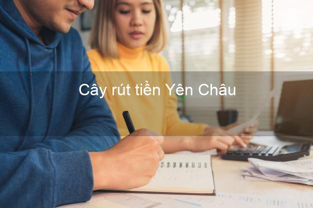 Cây rút tiền Yên Châu Sơn La Cây rút tiền Yên Châu Sơn La