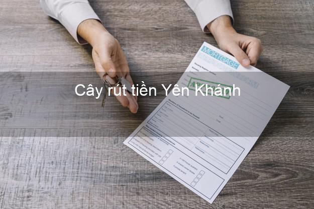 Cây rút tiền Yên Khánh Ninh Bình Cây rút tiền Yên Khánh Ninh Bình